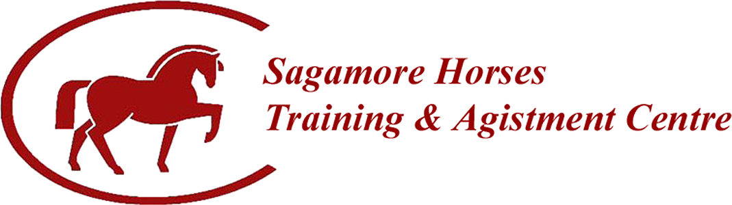 Sagamore Horses